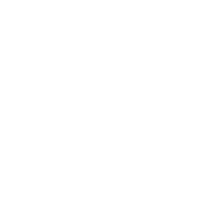 STEDI Reichenau Logo
